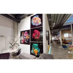Hot Glasbild Aqua Queen Fish 100X100Cm Bilder