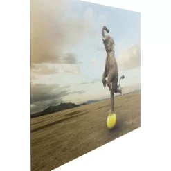 Online Glasbild Balance Elephant 150X100Cm Bilder