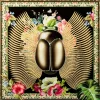 Online Glasbild Beetle Flower 100X100Cm Bilder