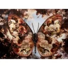 New Glasbild Butterfly 150X100Cm Bilder