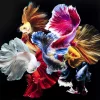 Online Glasbild Colorful Swarm Fish 120X120Cm Bilder