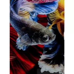 Online Glasbild Colorful Swarm Fish 120X120Cm Bilder