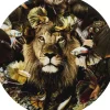 Hot Glasbild Curious Lion O100Cm Bilder