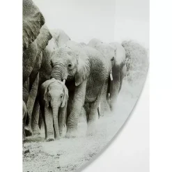 Online Glasbild Elephant Walk O120Cm Bilder