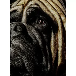 Glasbild King Pug 40X60Cm Bilder
