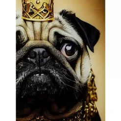 Best Glasbild Prince Pug 40X60Cm Bilder