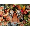 Best Glasbild Tiger On Hunt 150X100Cm Bilder