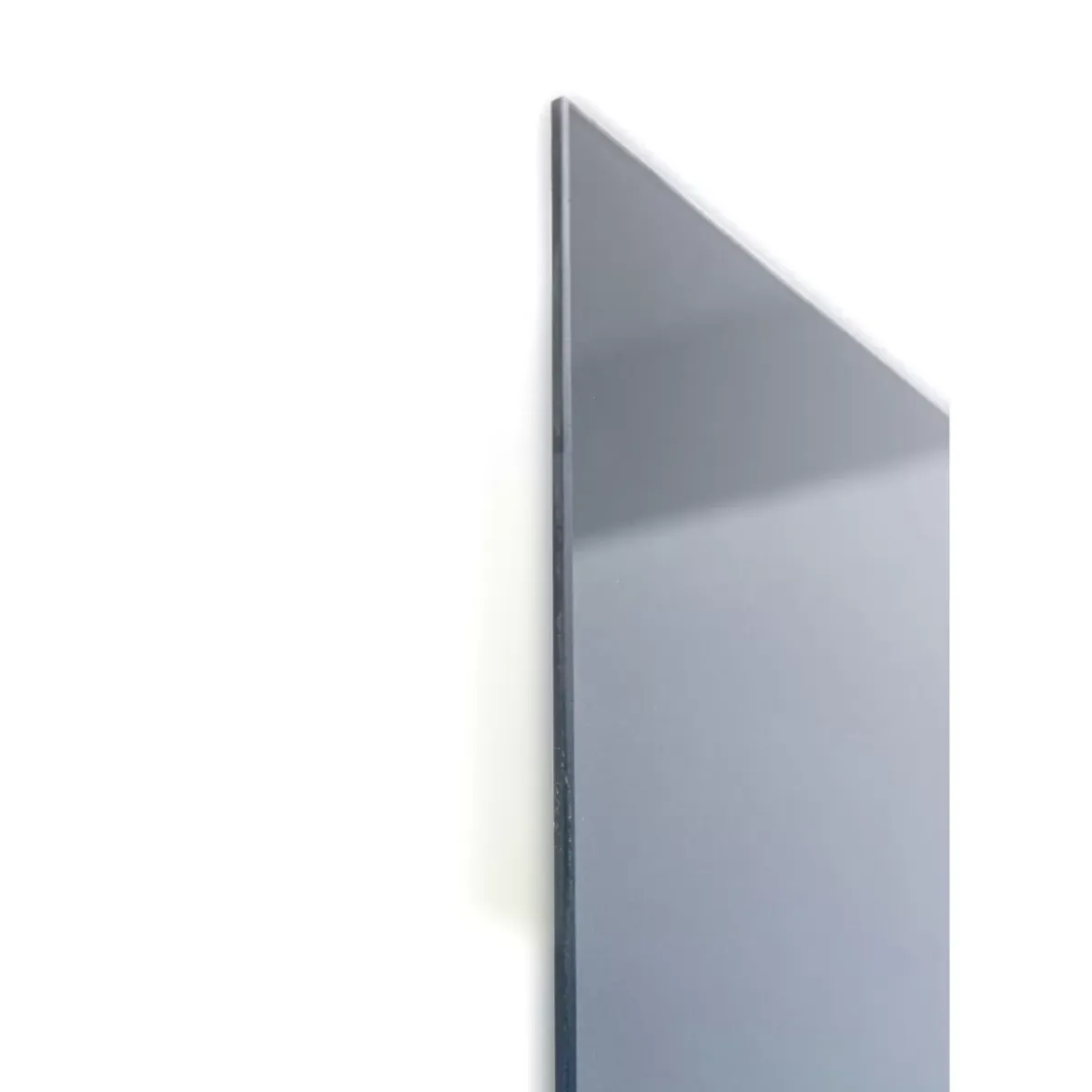 Hot Glasbild Twin Parrot 80X120Cm Bilder