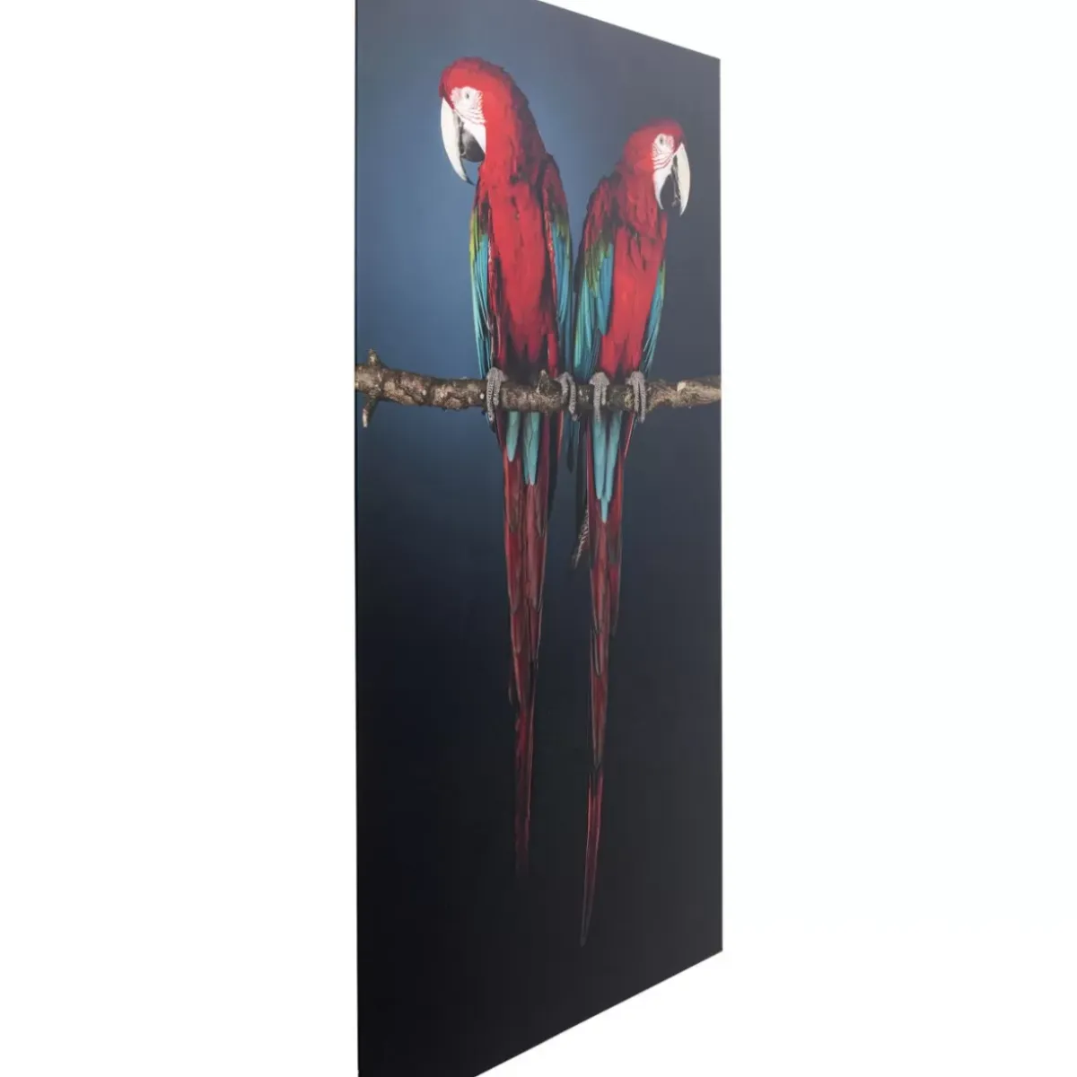 Hot Glasbild Twin Parrot 80X120Cm Bilder