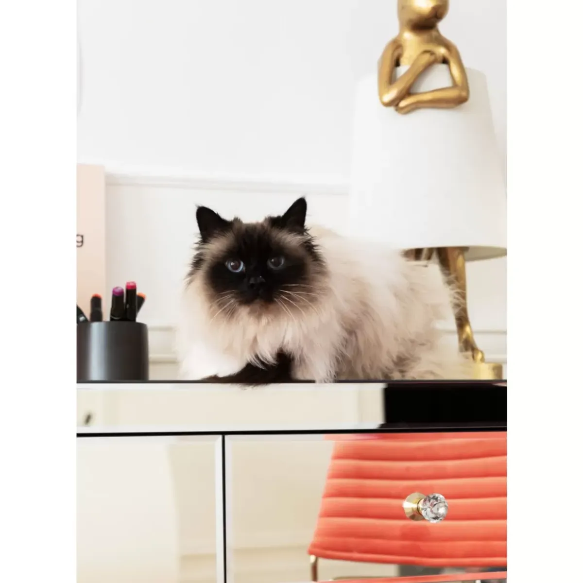 Outlet Konsole Luxury Champagne Kommoden & Sideboards