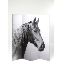 Paravent Beauty Horses 160X180Cm Paravents