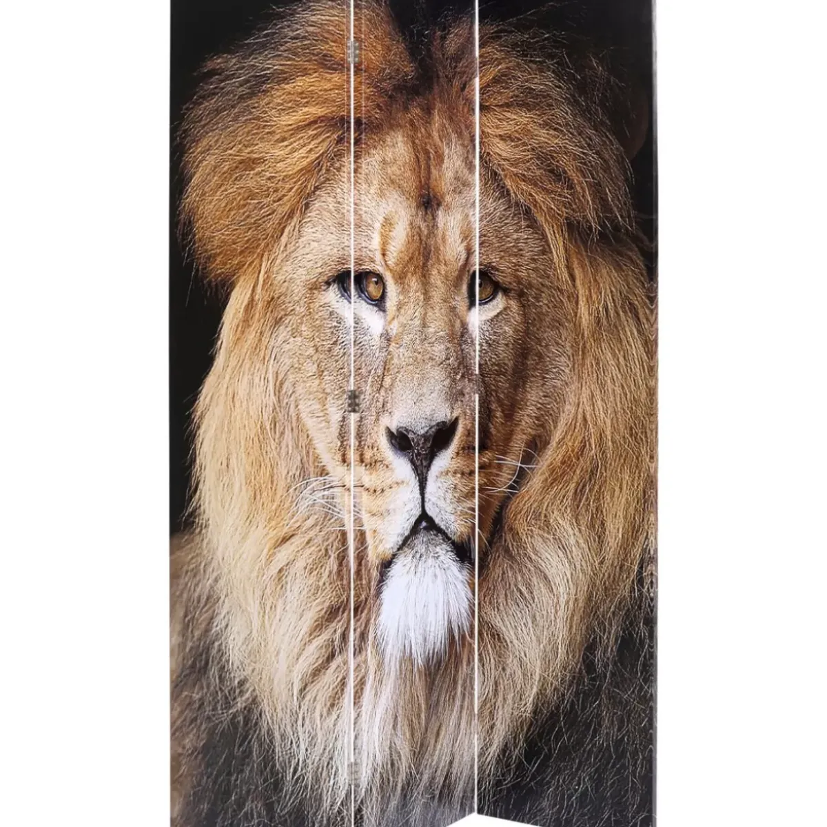 Best Paravent King Lion Vs Cat Girl 120X180Cm Paravents