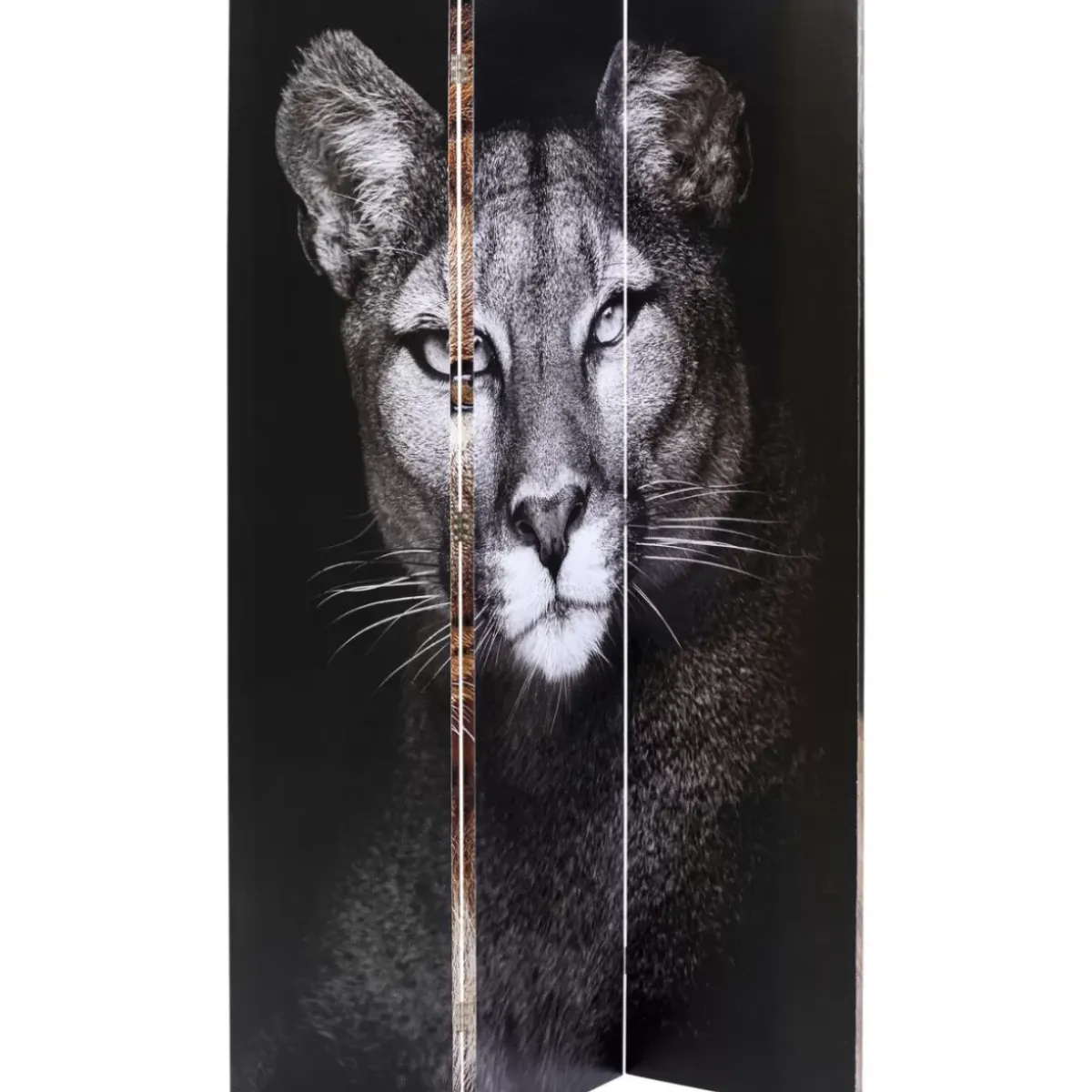 Best Paravent King Lion Vs Cat Girl 120X180Cm Paravents