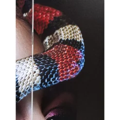 Hot Paravent Royal Headdress Vs Snake Girl 120X180Cm Paravents