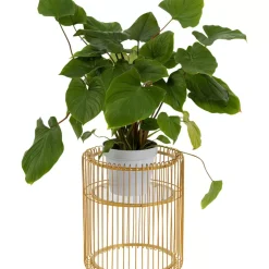 New Pflanzenstander Wire Gold 44Cm Aufbewahrung & Ordnung
