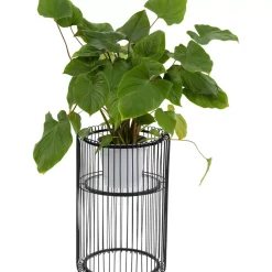 Clearance Pflanzenstander Wire Schwarz 57Cm Aufbewahrung & Ordnung