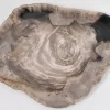 Hot Platte Magisch Versteinertes Holz Geschirr & Tischaccessoires