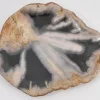 Online Platte Toverland Versteinertes Holz Geschirr & Tischaccessoires