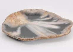 Online Platte Toverland Versteinertes Holz Geschirr & Tischaccessoires