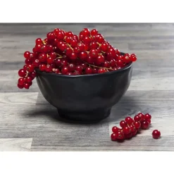 Schale Organic Black O15Cm Geschirr & Tischaccessoires