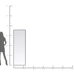 Spiegel Bella Mo 60X180Cm Spiegel