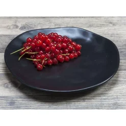 Hot Teller Organic Black O20Cm Geschirr & Tischaccessoires