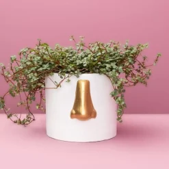 Best Ubertopf Nase Weiss/Gold Sonstiges & Zubehör Accessoires