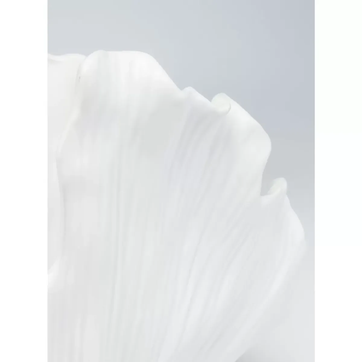 Vase Ginkgo Elegance 45Cm Vasen