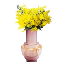 Best Vase Rosie 35Cm Vasen