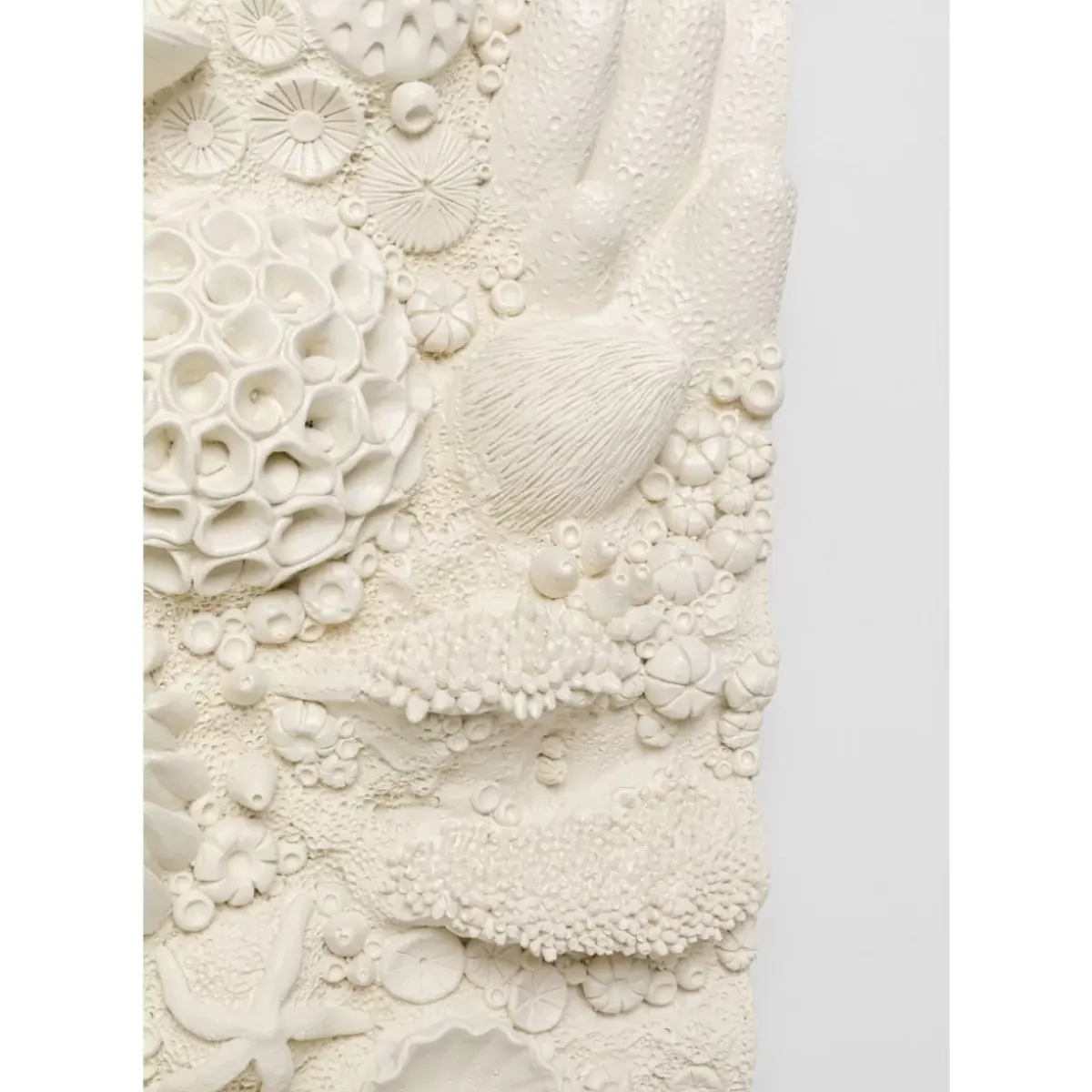 Outlet Wandobjekt Coral Collage 37X121Cm Bilder