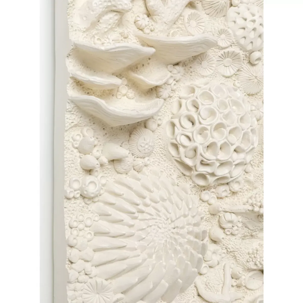 Outlet Wandobjekt Coral Collage 37X121Cm Bilder