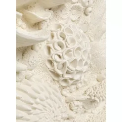 Outlet Wandobjekt Coral Collage 37X121Cm Bilder