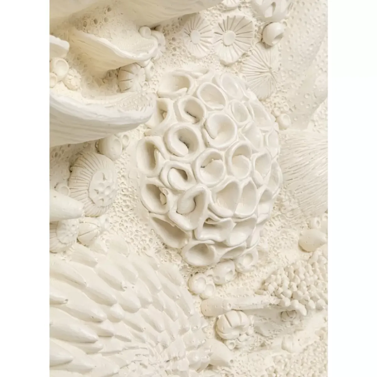 Outlet Wandobjekt Coral Collage 37X121Cm Bilder