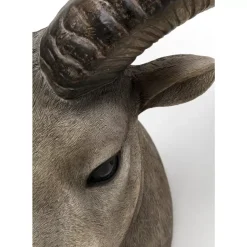 Discount Wandobjekt Goat Head Bilder