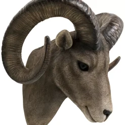Discount Wandobjekt Goat Head Bilder