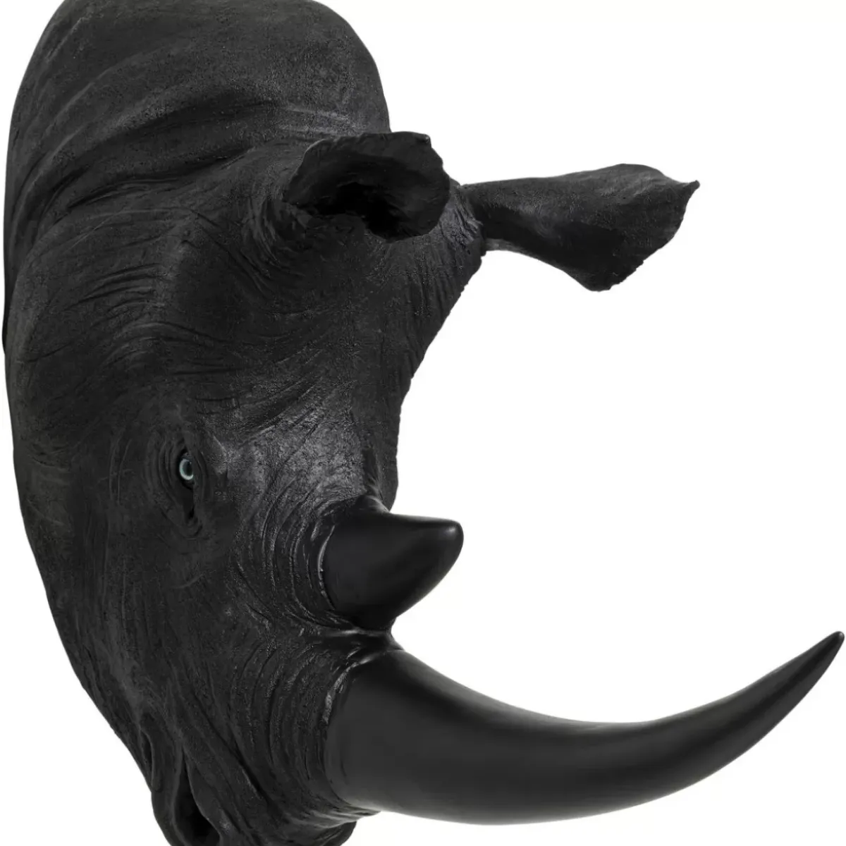 Online Wandobjekt Rhino Head Antique Schwarz Bilder