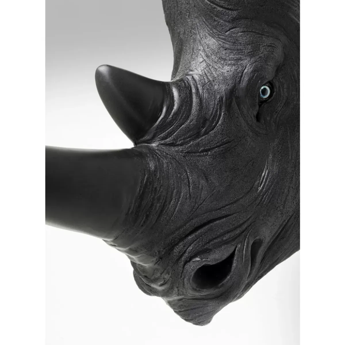 Online Wandobjekt Rhino Head Antique Schwarz Bilder