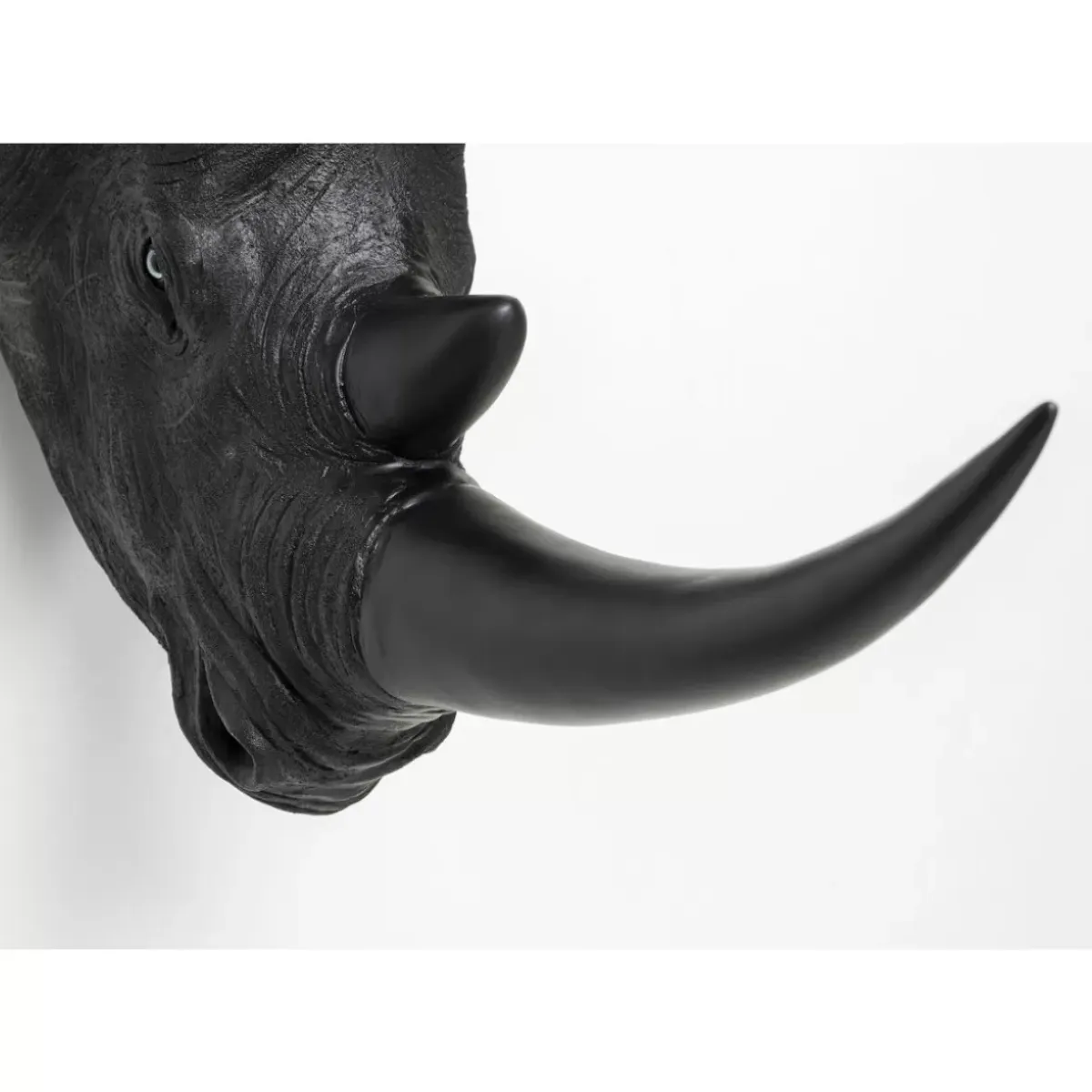 Online Wandobjekt Rhino Head Antique Schwarz Bilder