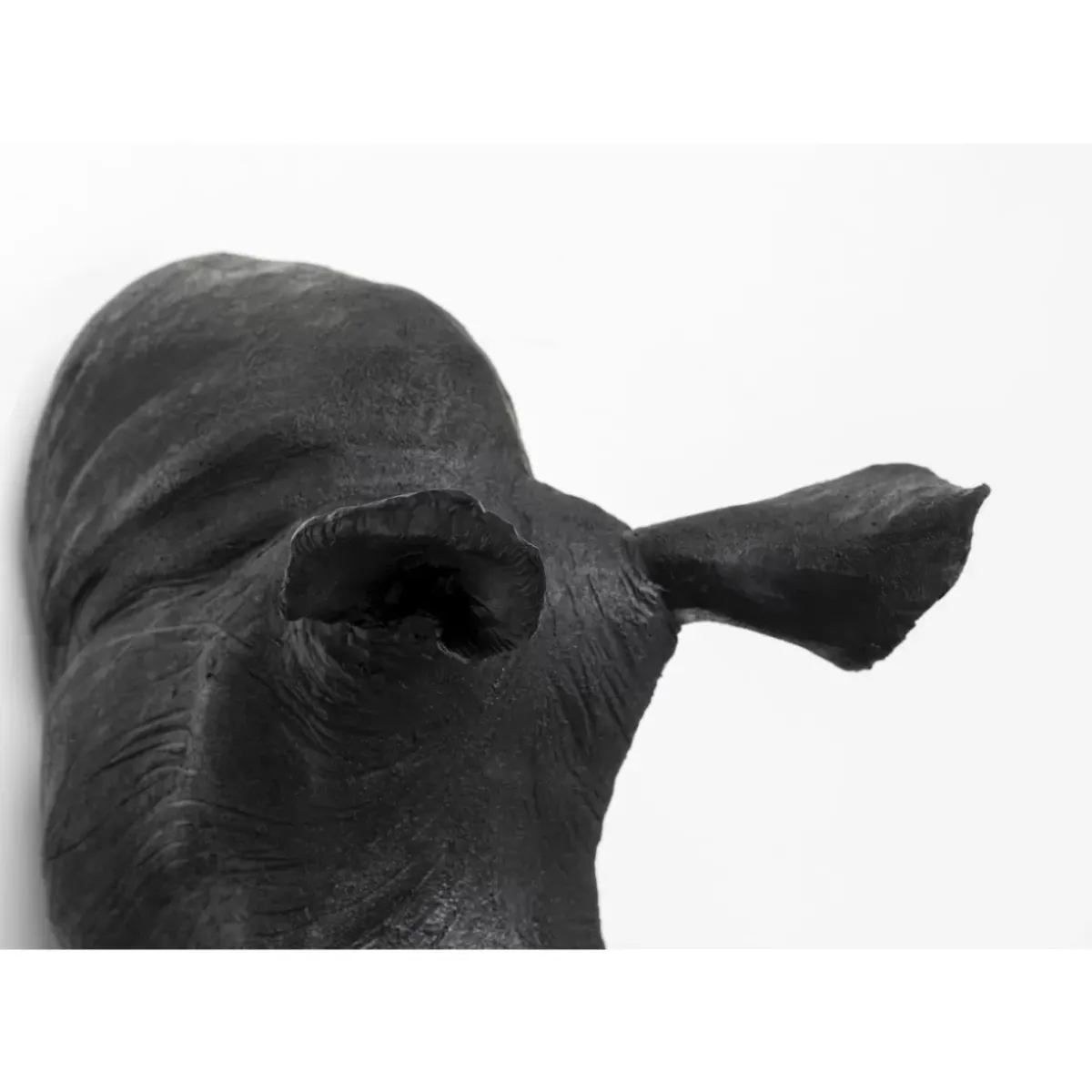 Online Wandobjekt Rhino Head Antique Schwarz Bilder