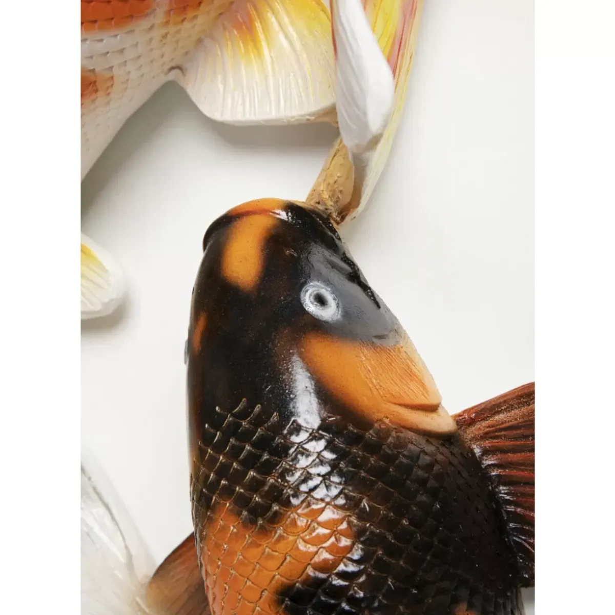 Clearance Wandobjekt School Of Koi Colore O102Cm Bilder