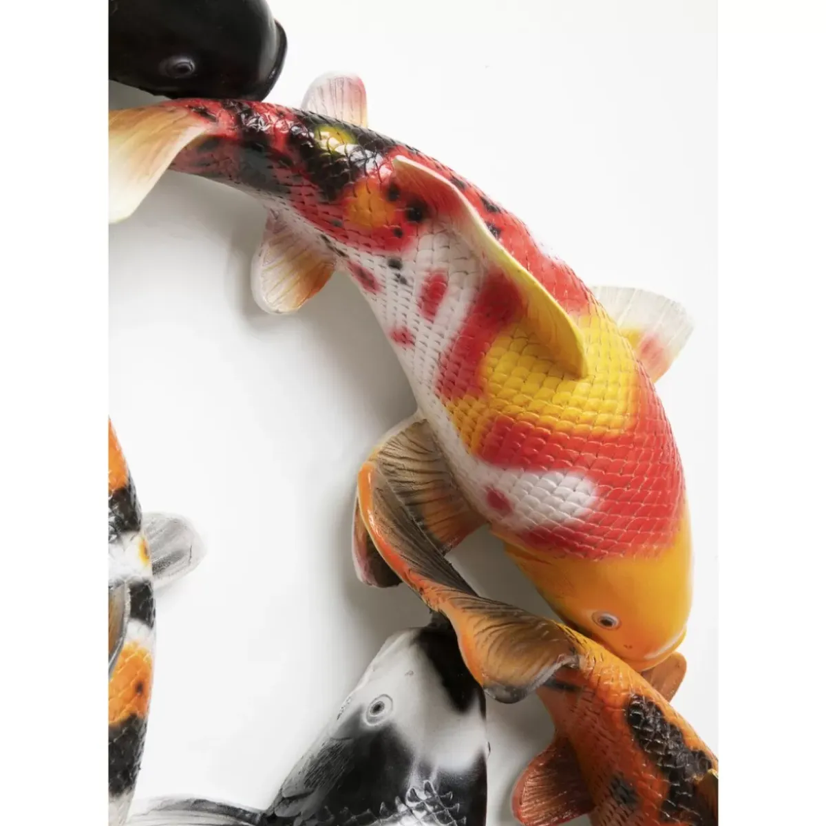 Clearance Wandobjekt School Of Koi Colore O102Cm Bilder