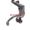 Hot Wandschmuck Climber Bilder