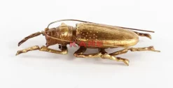 Wandschmuck Longicorn Beetle Gold Bilder