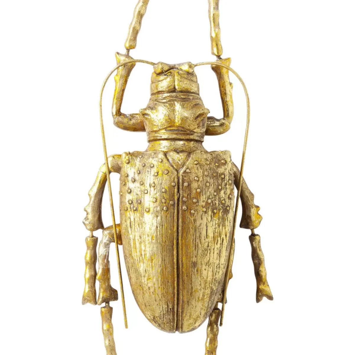 Wandschmuck Longicorn Beetle Gold Bilder