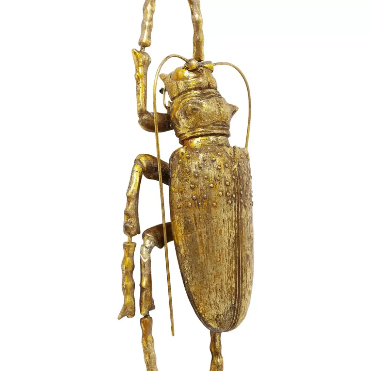 Wandschmuck Longicorn Beetle Gold Bilder