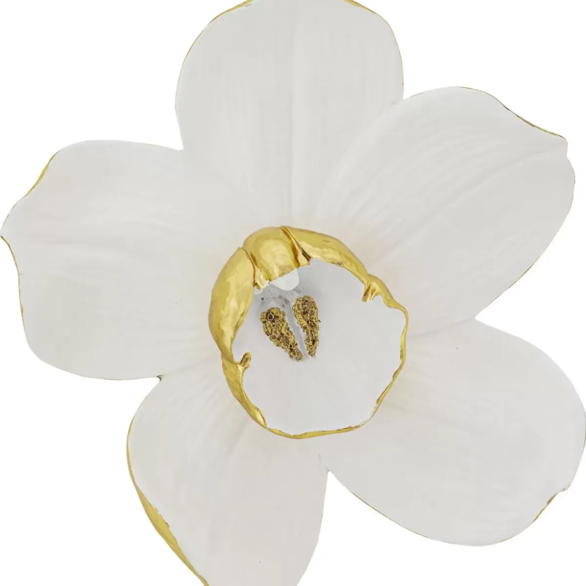 Sale Wandschmuck Orchid Weis 44 Bilder