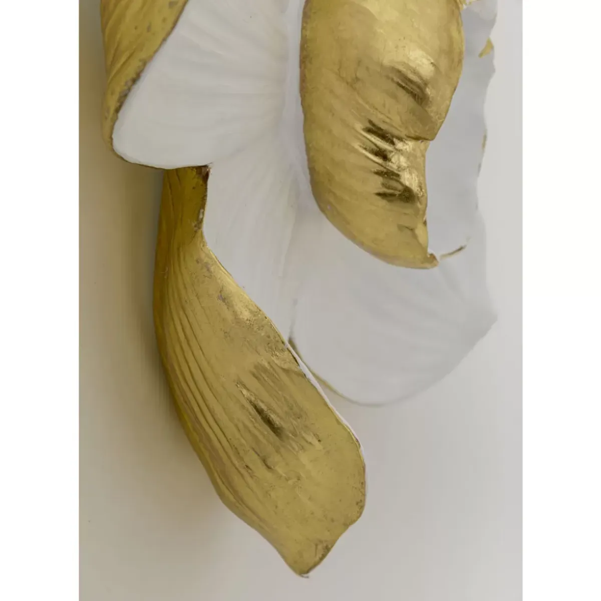 Sale Wandschmuck Orchid Weis 44 Bilder