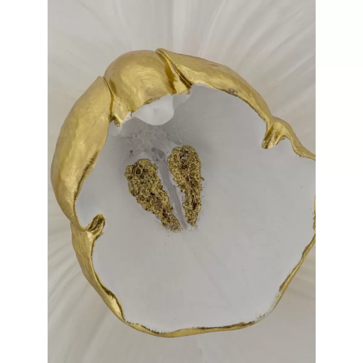 Sale Wandschmuck Orchid Weis 44 Bilder
