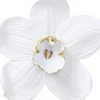 Wandschmuck Orchid Weis 54Cm Bilder