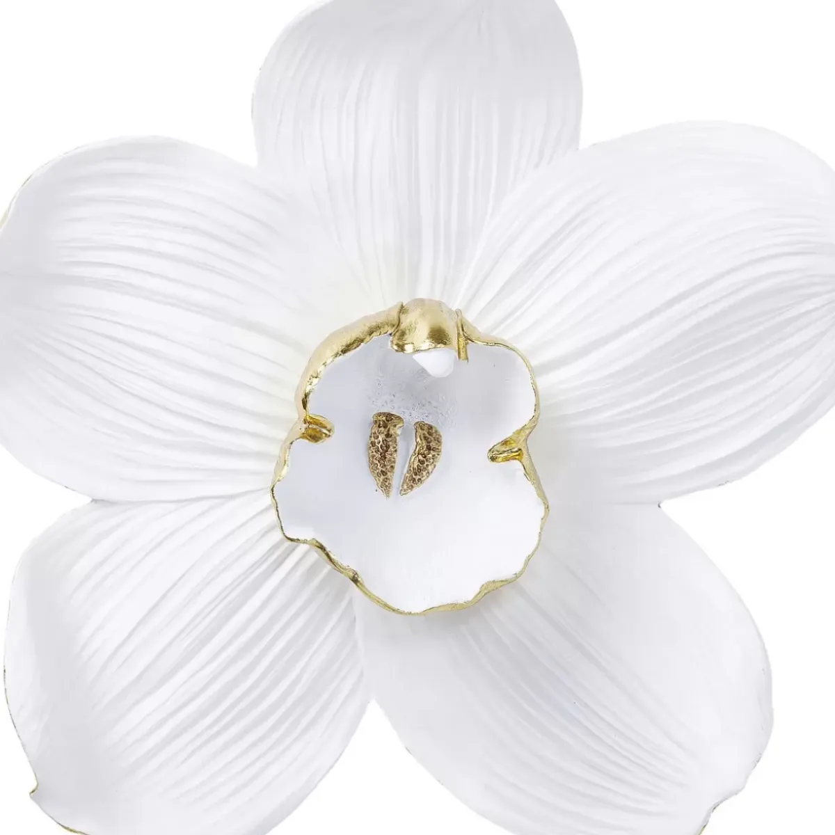 Wandschmuck Orchid Weis 54Cm Bilder
